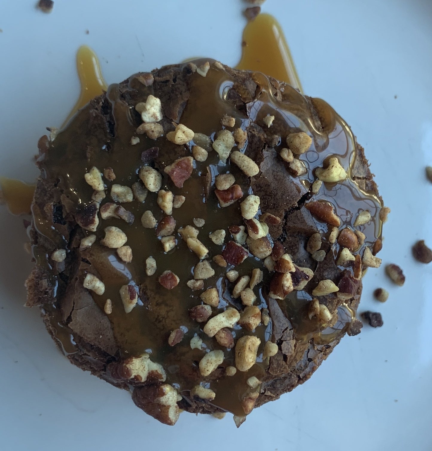 Turtle Brownie
